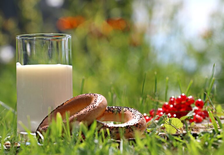 Desayuno sano y rico 1