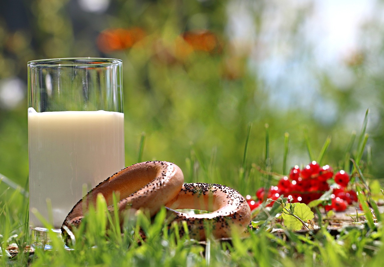 Desayuno sano y rico en nutrientes